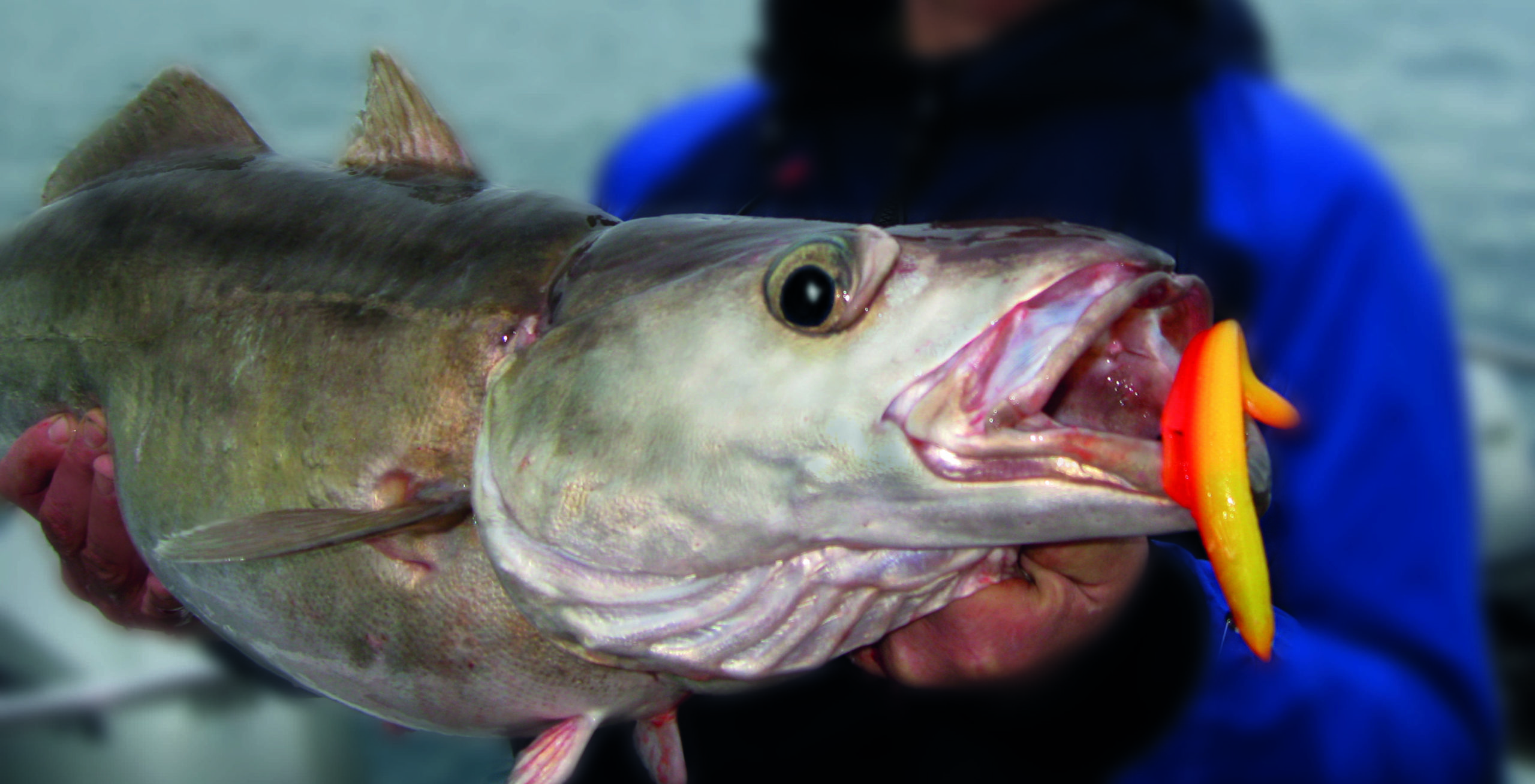 SPINNING LURES 35g Mackerel/Bass/Pollack SNAPPER FISHING