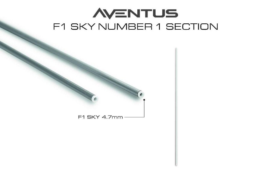 Guru Aventus F1 Sky Sections