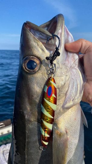 ESP Shock Bead: Enhance Your Fishing Experience
