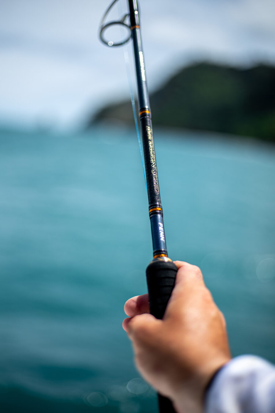 PENN Battalion Solid Offshore Rods - Image 13