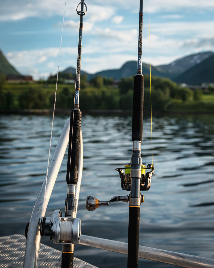 PENN Battalion Solid Offshore Rods - Image 14