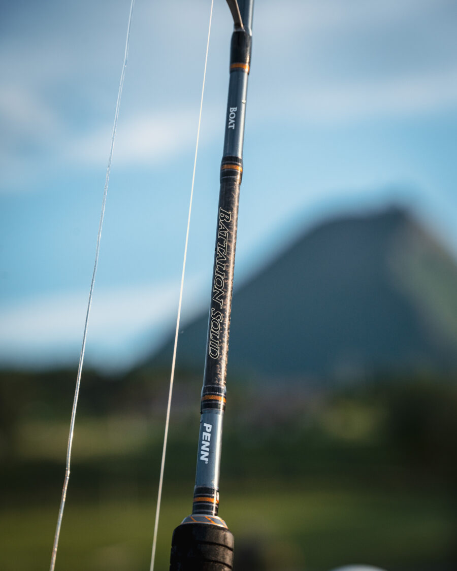 PENN Battalion Solid Offshore Rods - Image 15