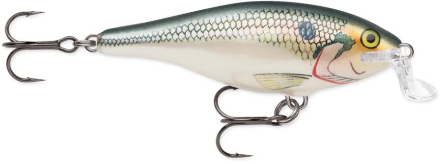 Rapala Shallow Runner Shad Rap