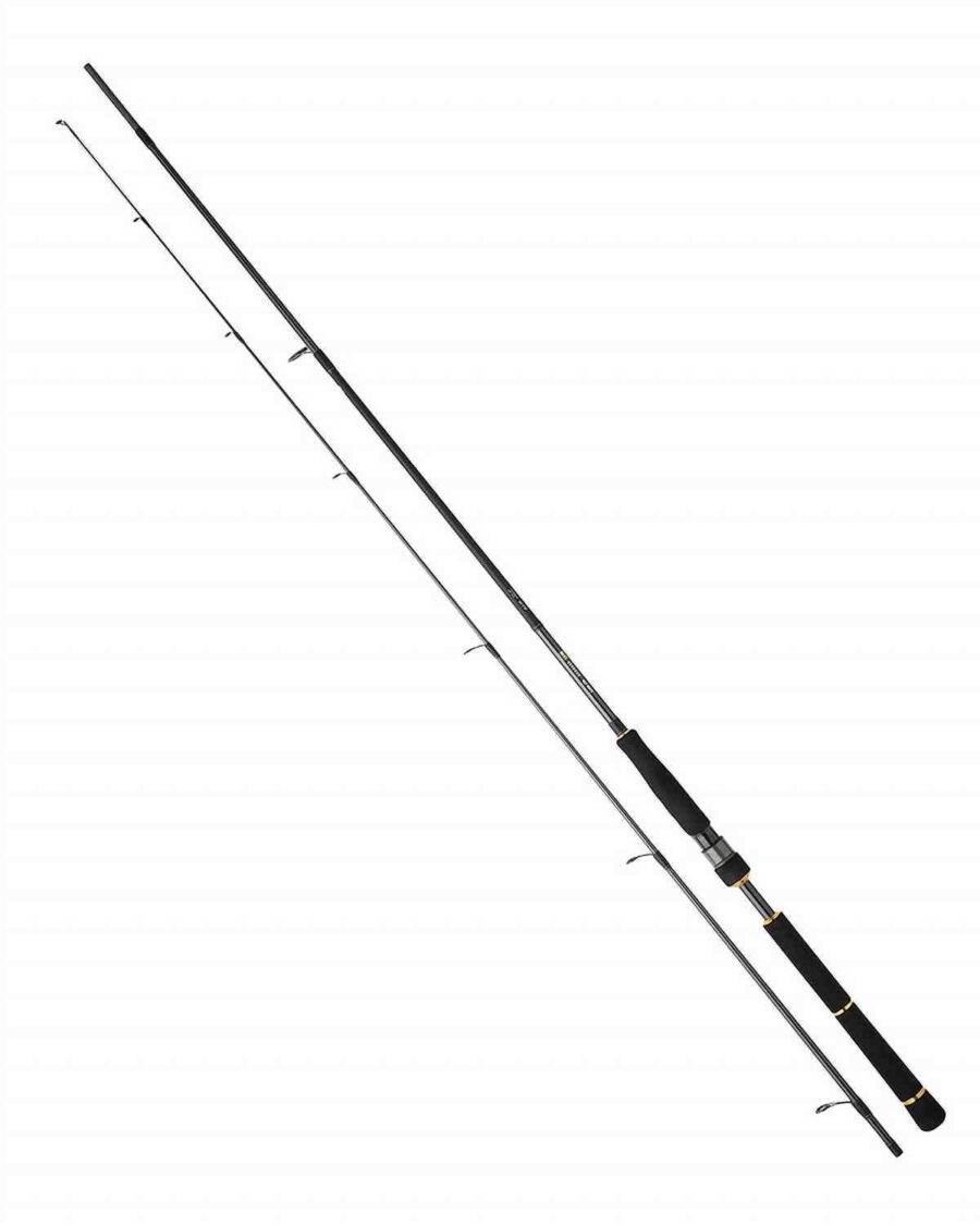 Daiwa BG Seabass 8'2" 10-35g 822 HM HFS 2sec