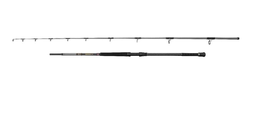 PENN Regiment IV Uptide Rod 10' 70-300g 2sec