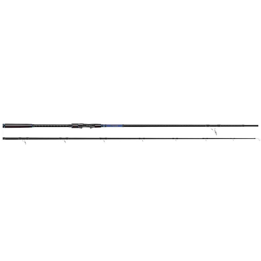 Dexter Plugger Rod 9'6" 20-60g